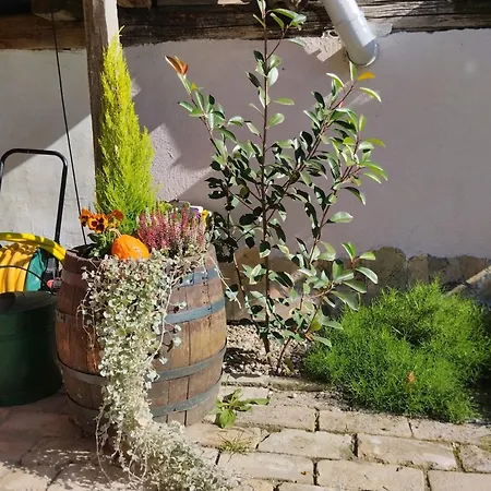 Katarina Apartmán Backi Monostor