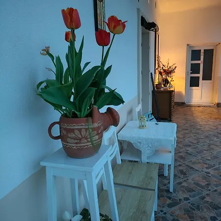 Apartmán Katarina Backi Monostor