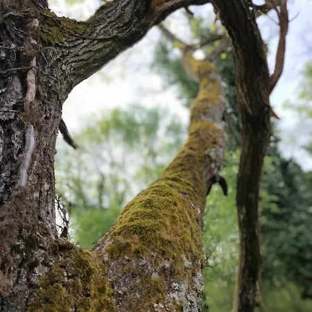 Katarina Апартаменты