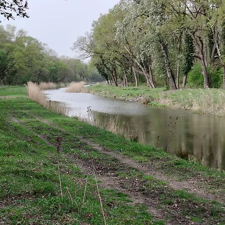 Апартаменты Katarina