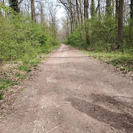 Katarina Apartmán Backi Monostor