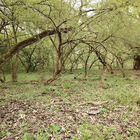 Katarina Апартаменты *