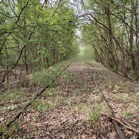 Katarina Апартаменты Backi Monostor