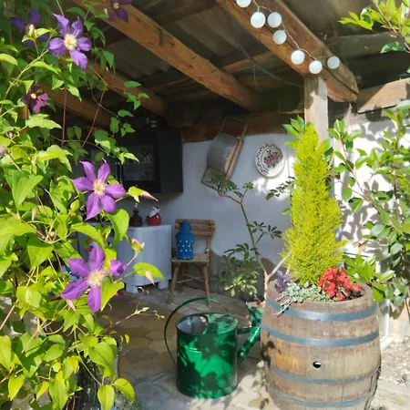 Katarina Backi Monostor