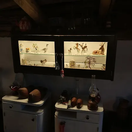 Katarina Backi Monostor