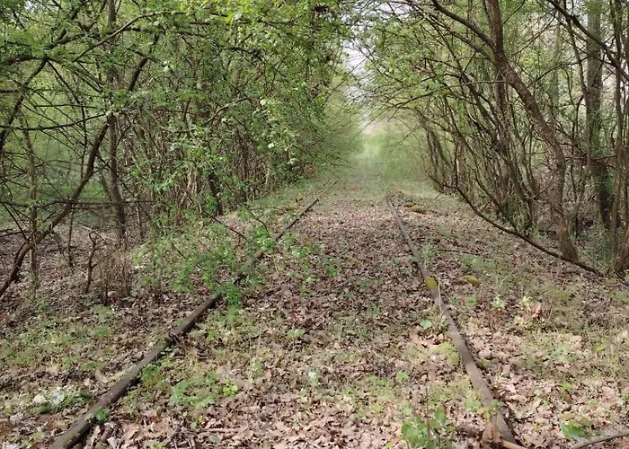 Katarina Lägenhet Backi Monostor