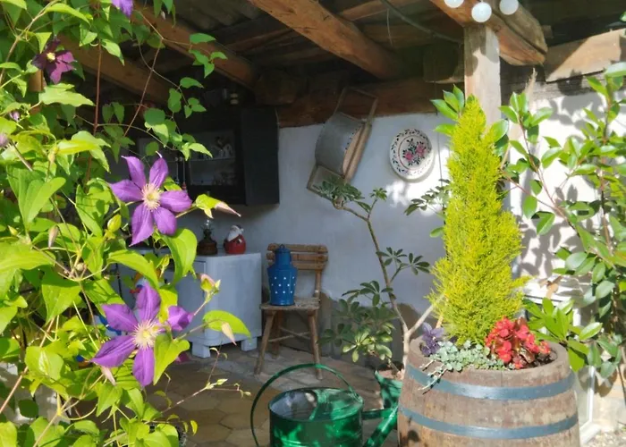 Katarina Backi Monostor